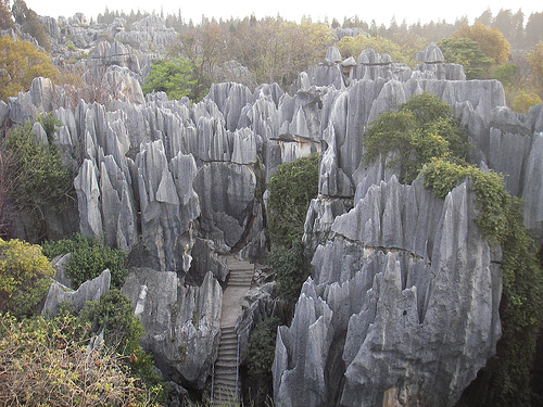 El bosque de piedra en China